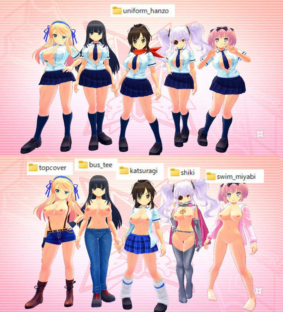 閃乱カグラ Burst Re:Newal Mods Pack mod