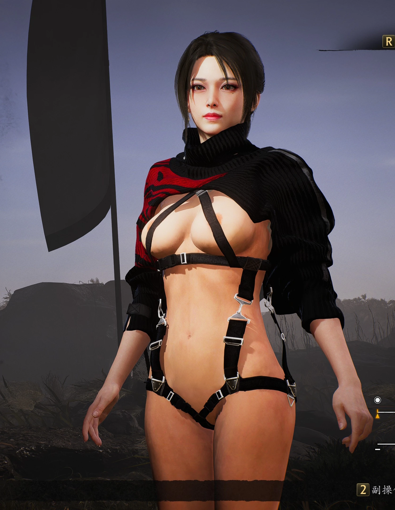 仁王3 mod Shadow Kunoichi