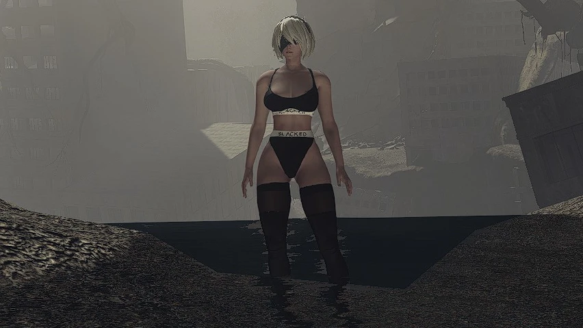 ニーアオートマタ 2B mod 2B BLACKED Sports Bra and Thong
