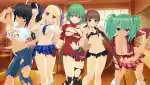 閃乱カグラ ESTIVAL VERSUS Estival Versus Mods mod
