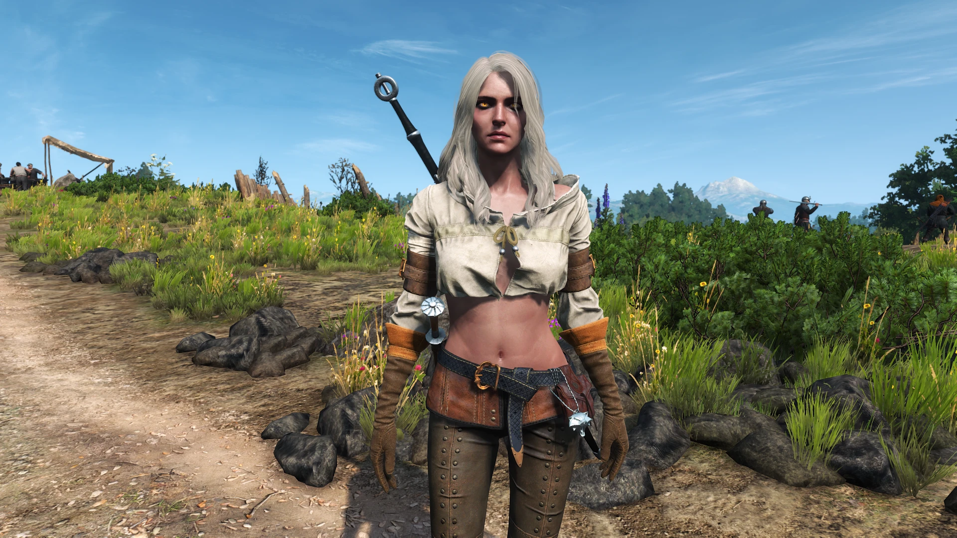 ウィッチャー3 Ciri Skimpy Another Take mod