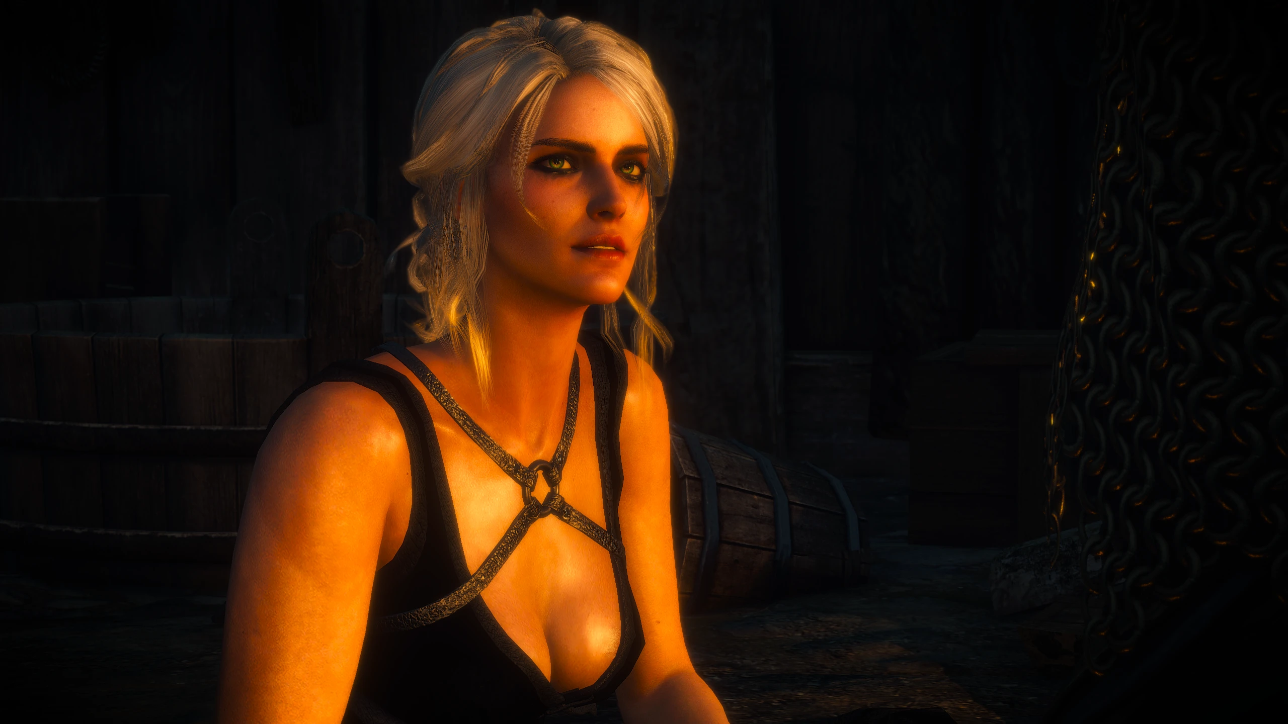 ウィッチャー3 New clothes for Ciri mod